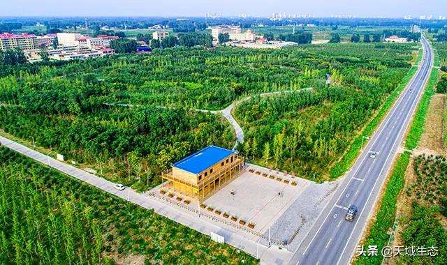 千年秀林景观提升工程（二期）施工总承包